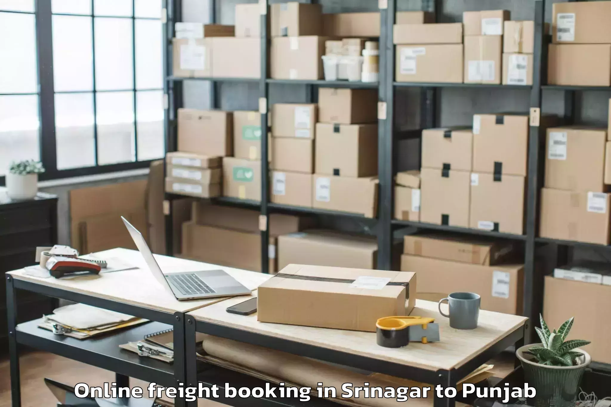 Leading Srinagar to Bhatinda Airport Bup Online Freight Booking Provider